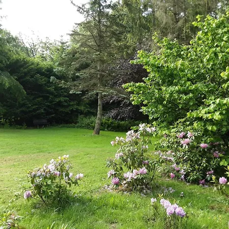 Hochwald Maxi Appartamento Bad Sachsa