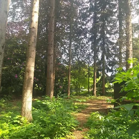 Hochwald Maxi Bad Sachsa