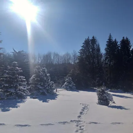 Appartamento Hochwald Maxi Bad Sachsa