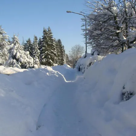 Hochwald Maxi